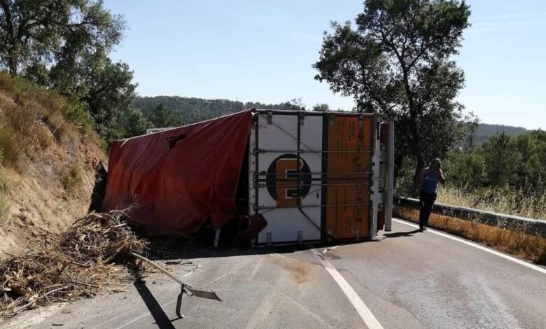 Camião despista-se e corta trânsito na EN2 acid 73915 6480941328736314590 n