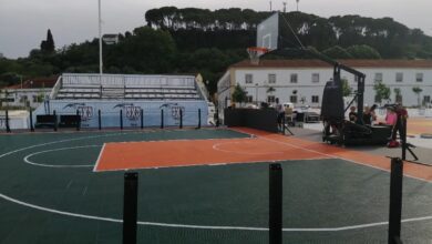 basket 25401847 7371293120677323609 n
