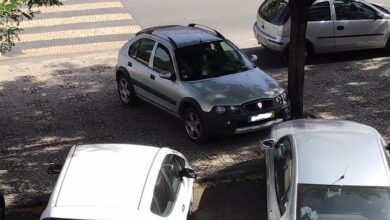 estac 79690 3648388515262953085 n