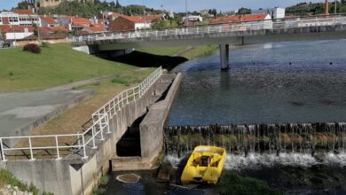 gaivota rio IMG 20220630 091045