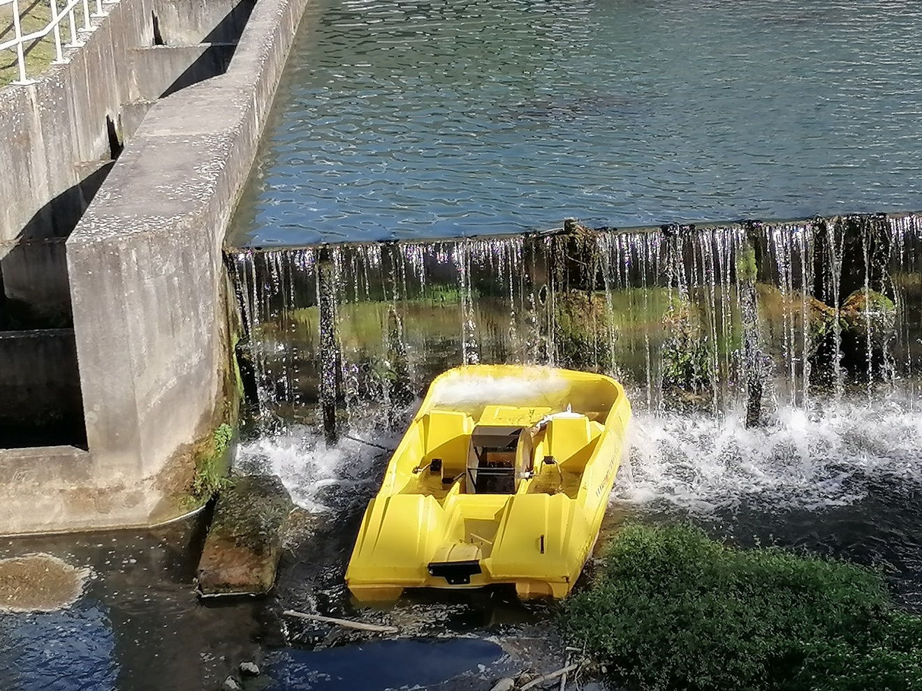 gaivota rio IMG 20220630 091049