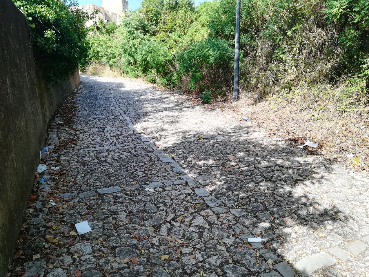 Lixo acumula-se na calçada de Santiago lixo IMG 20220702 092457