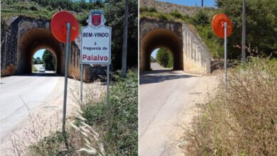 paialvo