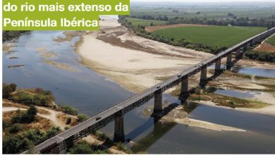 tejo 89