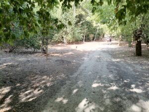 IMG 20220828 101919