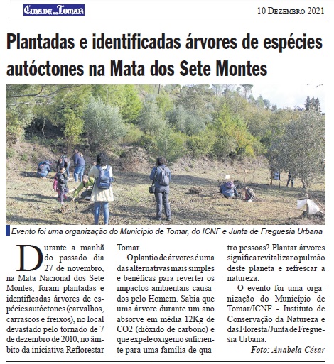 arvores mata