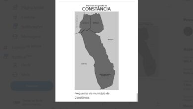 constancia falo