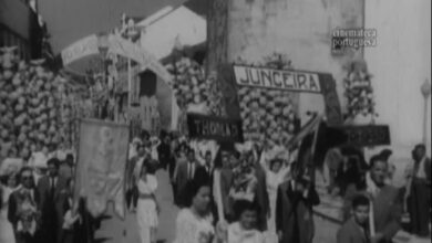 tabuleiros 1950