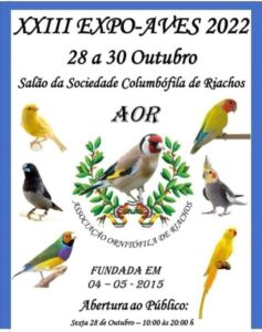 28 10 3434198 889765110232913937 n