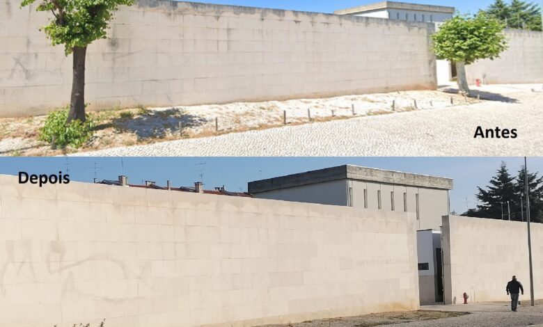 Cortaram duas árvores em frente à casa mortuária casa mortuaria 3 1