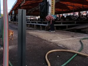 lixo IMG 20221017 100543