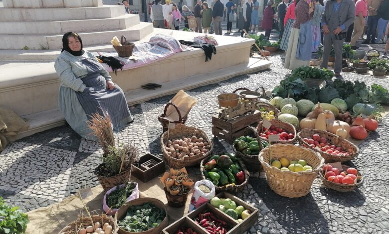 O Mercado da República em imagens (c/ fotos e vídeo) mercado 1900 da republica IMG 20221009 104133
