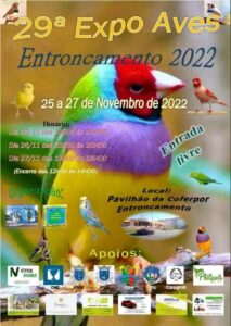 25 11 970444556 753827129421178295 n