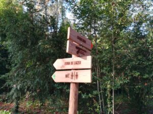 IMG 20221113 085028