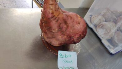 batata 66325 8310004711434920058 n