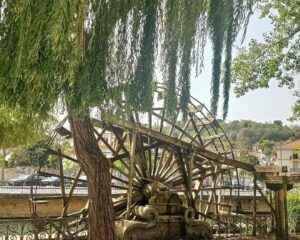 foto roda catia lima beyondlisbon