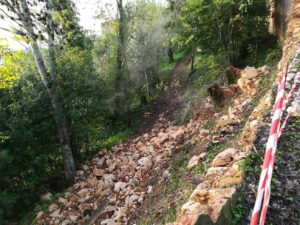 muro mata cerca IMG 20221127 083129
