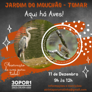 11 12 AquihaAves TMRDez22