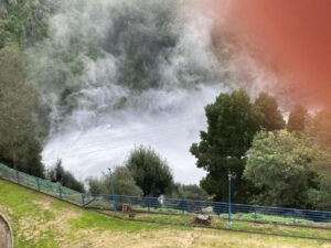 IMG 20221223 WA0005