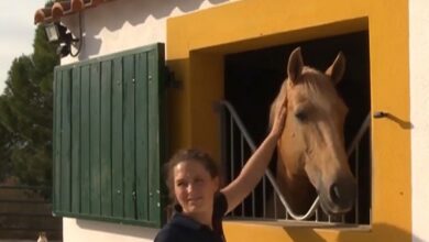 carlota