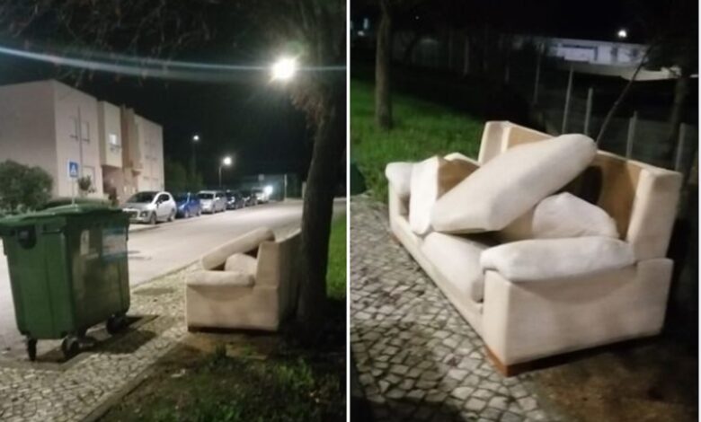 Recolha de monos tem novas regras monos