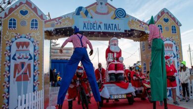 santa cita aldeia natal AN1 3