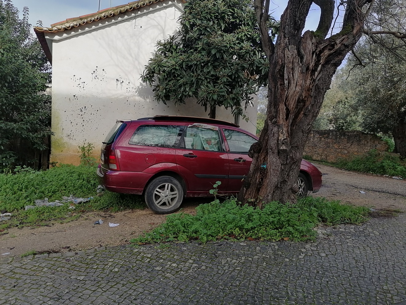 IMG 20230116 104852