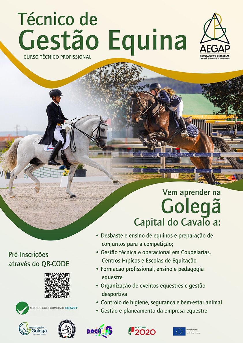 goleg 119002918 666009739958356438 n