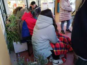 tabuleiros IMG 20230127 175218