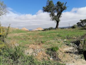 valbom bairro cigano IMG 20221015 120358
