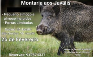 26 2 154318 2999930296449805094 n