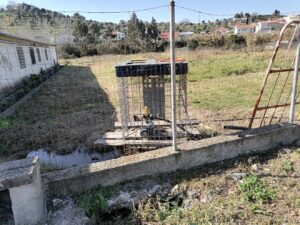 bairro ilegal IMG 20230216 143452
