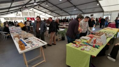 colecionadores IMG 20230211 104052