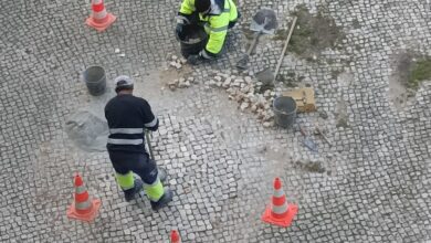 tejo ambiente IMG 20230223 120335