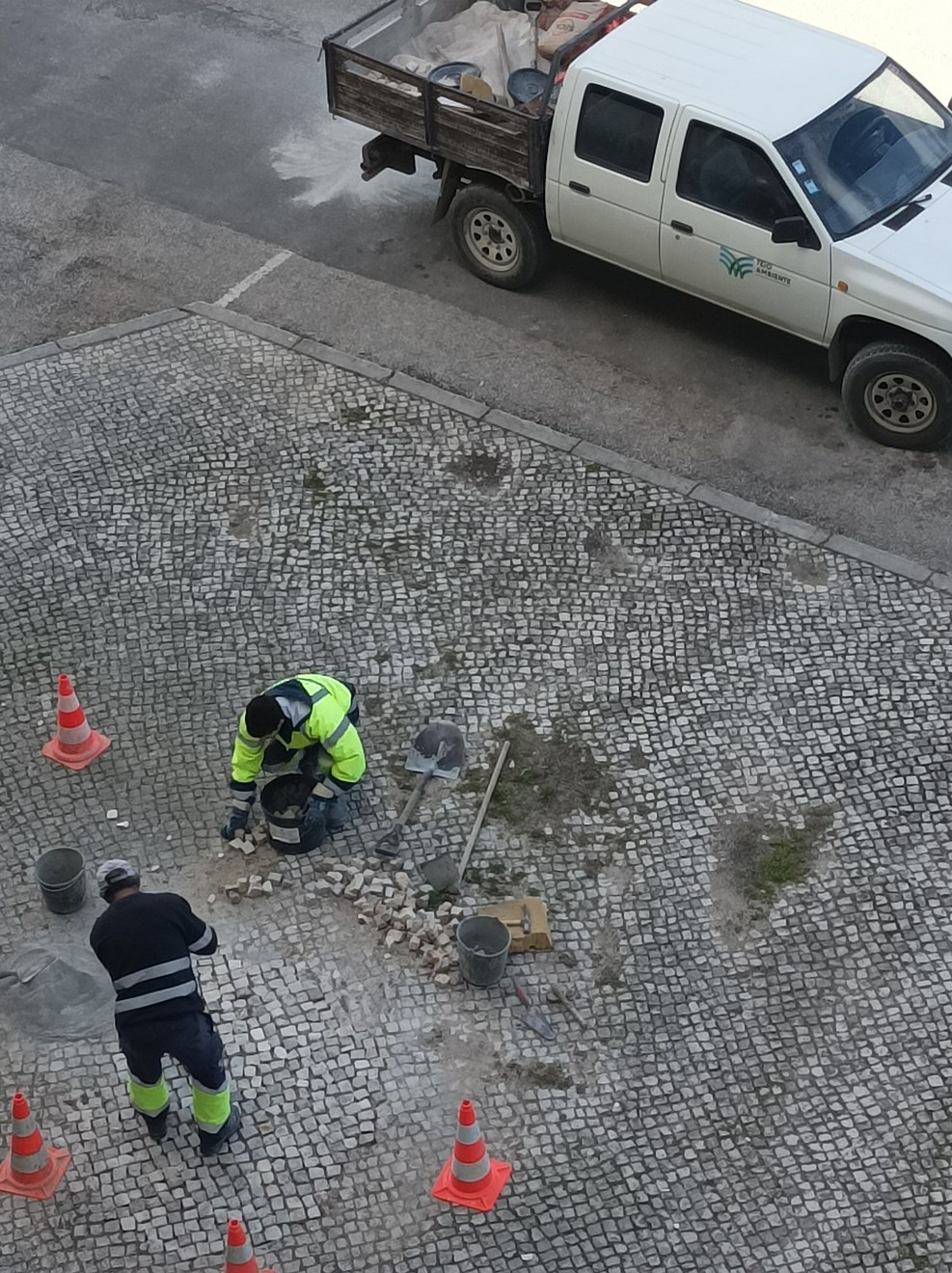 tejo ambiente IMG 20230223 120338