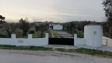 cardelas IMG 20230309 183655