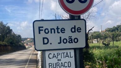 fonte d. joao 78137 3492264683576869682 n