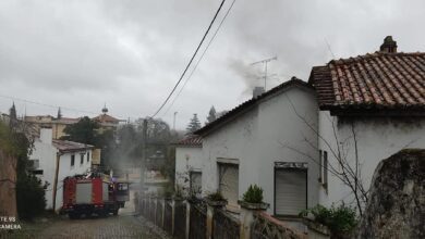 incen 8222435 8508555504111507644 n