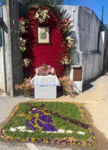 olalhas procissao 048383353221 5273503304196650448 n
