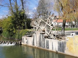 roda mouchao IMG 20230314 134404