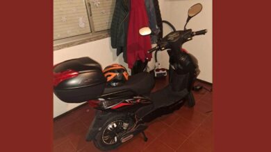 apelo 73182380 5368839886433682648 n Copia