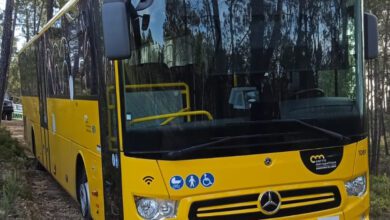 autocarro 4929988866 3819153648430015080 n