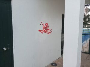 vandal 2263628666 9025841362162917004 n