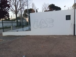vandal 4910900452 6008246909069342579 n