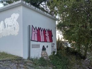 vandal 819322993 6935710102118458806 n