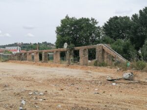Flecheiro IMG 20230521 112818