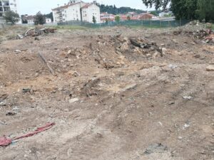 Flecheiro IMG 20230521 112935