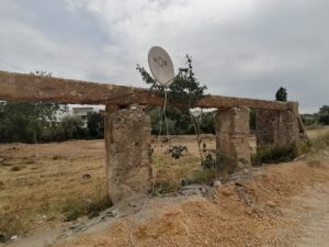 Flecheiro IMG 20230521 113428