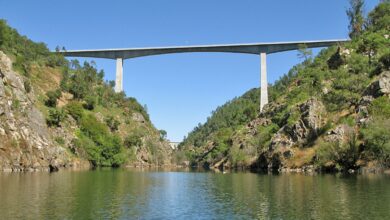 PONTE IC8 cabril