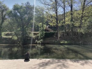 agroal IMG 20230416 105635